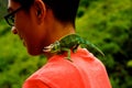 Boy with chameleon horned lizard in jungle Royalty Free Stock Photo